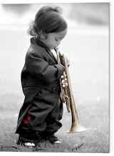 Annie Kate Collection